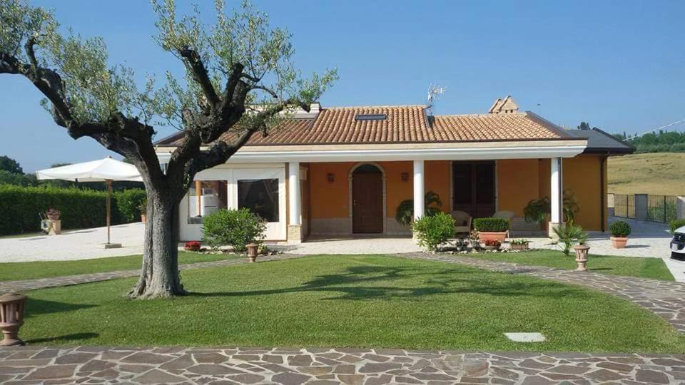 B&B Agrifoglio SantʼElpidio a Mare 外观 照片