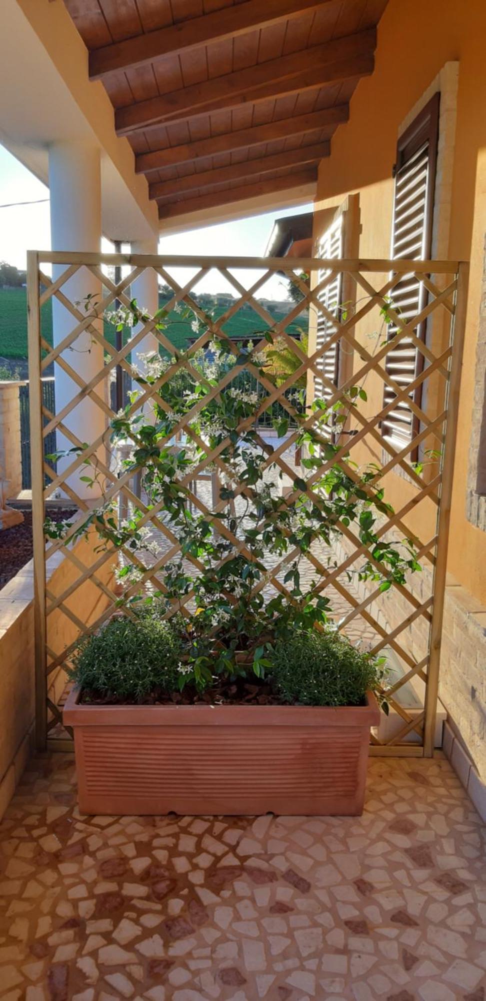 B&B Agrifoglio SantʼElpidio a Mare 外观 照片