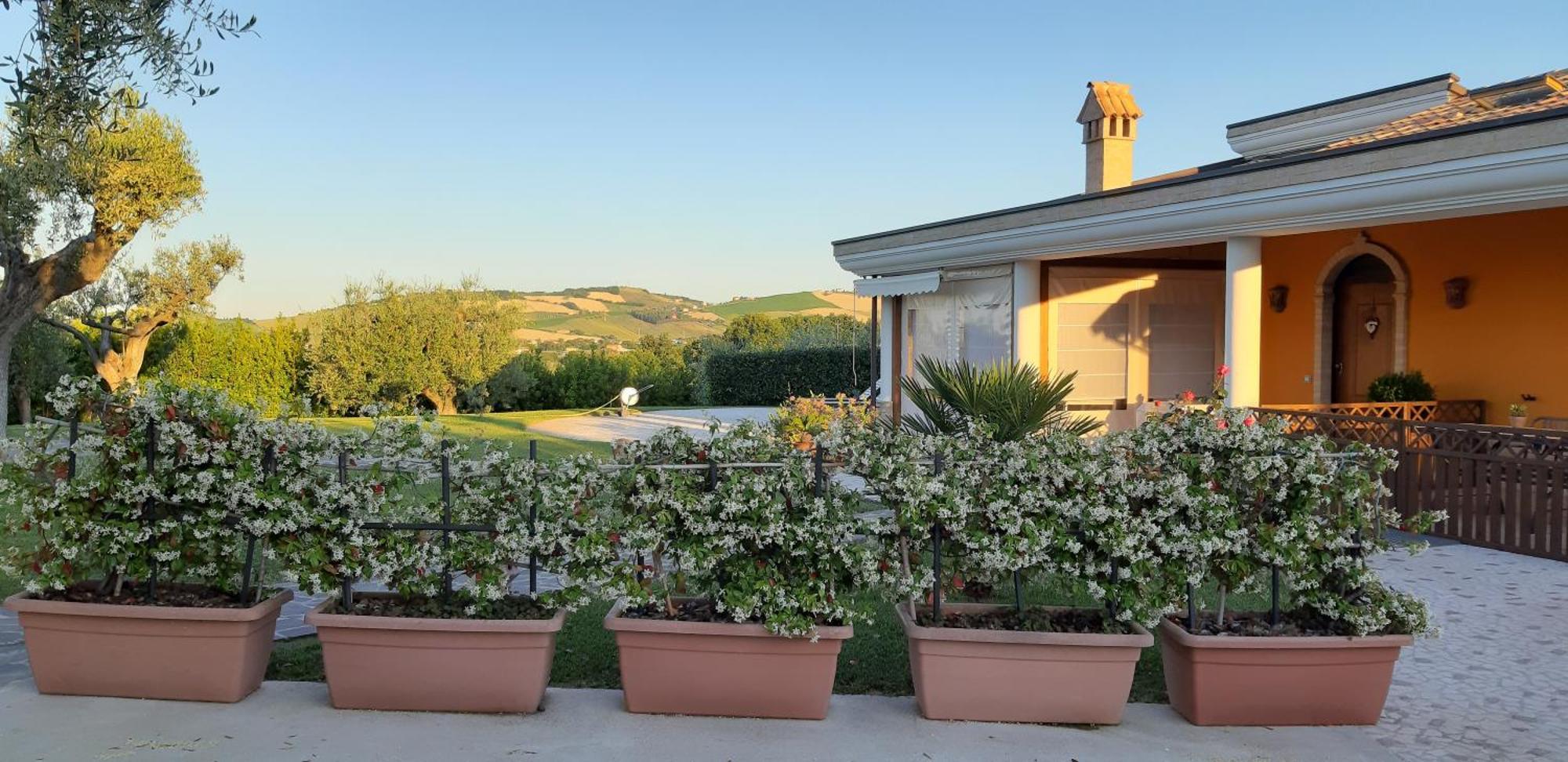 B&B Agrifoglio SantʼElpidio a Mare 外观 照片