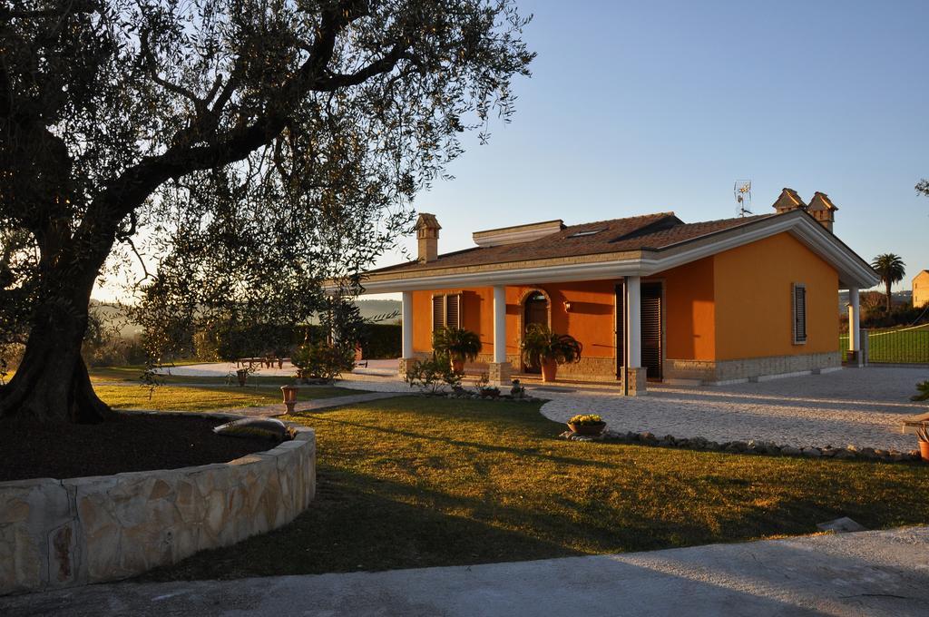B&B Agrifoglio SantʼElpidio a Mare 外观 照片